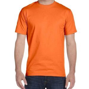 Hanes Heavyweight Men's short sleeve tshirts BUNDLE OF THREE